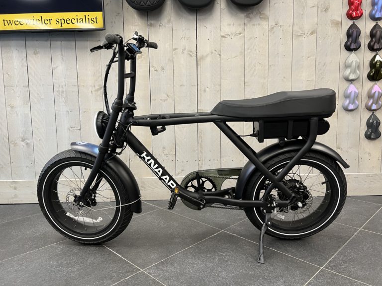 urban fat bike